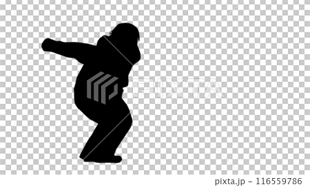 Silhouette of a woman about to fly_Wide Silhouette of a woman about to fly_Wide 116559786