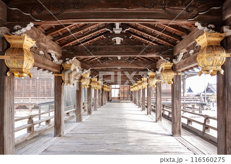 専修寺の国宝「御影堂」への渡り廊下　三重県津市 116560275