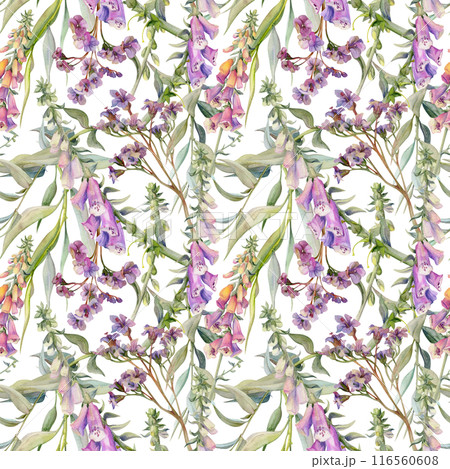 Hand drawn watercolor illustration boho botanical flowers leaves. Foxglove snapdragon lupin, willow eucalyptus, bergenia heliotrope. Seamless pattern isolated on white. Design wedding, gift paper Hand drawn watercolor illustration boho botanical flowers leaves. Foxglove snapdragon lupin, willow eucalyptus, bergenia heliotrope. Seamless pattern isolated on white. Design wedding, gift paper 116560608