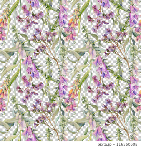 Hand drawn watercolor illustration boho botanical flowers leaves. Foxglove snapdragon lupin, willow eucalyptus, bergenia heliotrope. Seamless pattern isolated on white. Design wedding, gift paper Hand drawn watercolor illustration boho botanical flowers leaves. Foxglove snapdragon lupin, willow eucalyptus, bergenia heliotrope. Seamless pattern isolated on white. Design wedding, gift paper 116560608