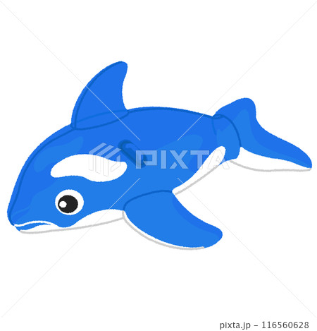 イルカの浮き輪のイラスト 116560628