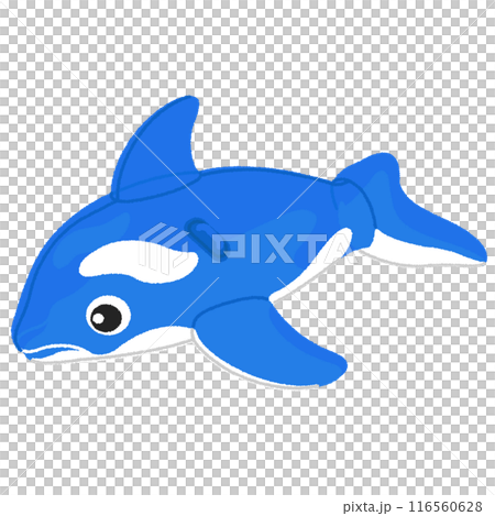 Dolphin swim ring illustration 116560628