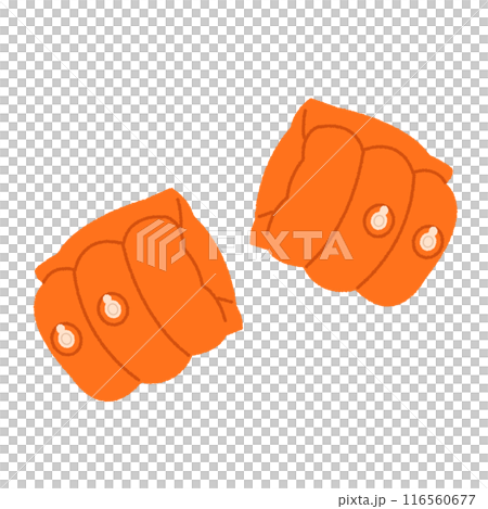 アームリングのイラスト 116560677