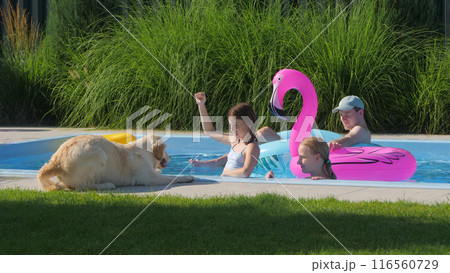 Two teenage girls, a man, and a Golden Retriever enjoying a backyard pool with a pink flamingo float. Two teenage girls, a man, and a Golden Retriever enjoying a backyard pool with a pink flamingo float. 116560729