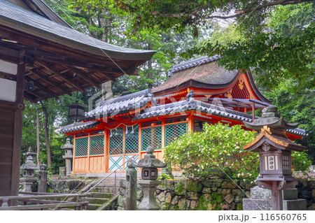 京都 棚倉孫神社 拝殿 本殿 京都 棚倉孫神社 拝殿 本殿 116560765