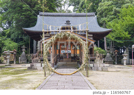 京都 棚倉孫神社 茅の輪くぐり 京都 棚倉孫神社 茅の輪くぐり 116560767