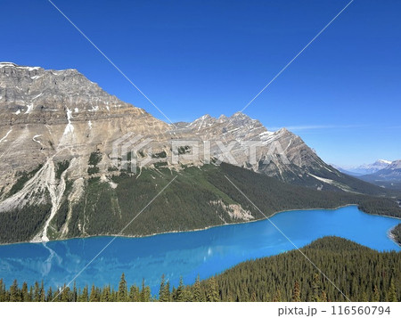 バンフ国立公園のペイト湖 116560794
