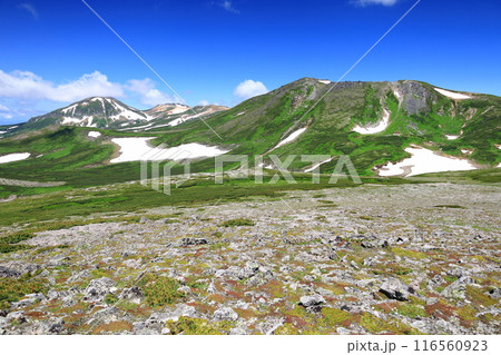 夏の大雪山　残雪の板垣新道分岐付近より　白雲岳避難小屋方面を望む 116560923
