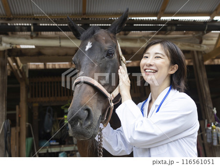 馬のお世話をする女性 馬のお世話をする女性 116561051