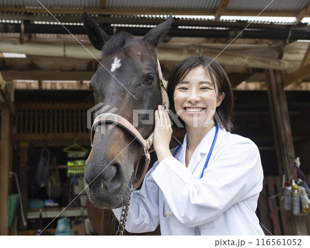 馬のお世話をする女性 馬のお世話をする女性 116561052