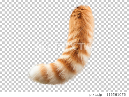 Cat parts: tail (transparent photo) Cat parts: tail (transparent photo) 116561076