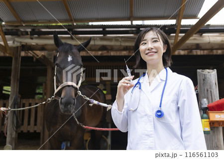 馬を診察する獣医さん 馬を診察する獣医さん 116561103