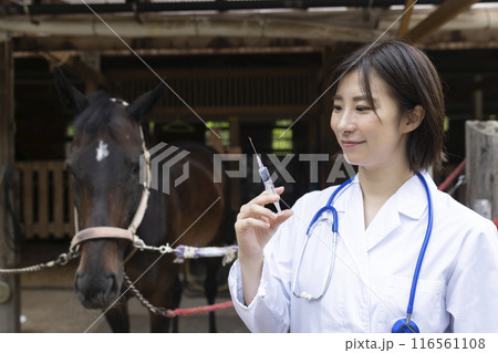 馬を診察する獣医さん 馬を診察する獣医さん 116561108