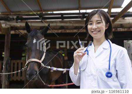馬を診察する獣医さん 116561110