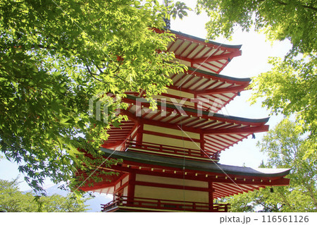新倉山浅間公園・五重の塔（山梨県・富士吉田市） 116561126