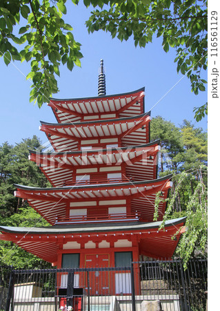 新倉山浅間公園・五重の塔(山梨県・富士吉田市) 新倉山浅間公園・五重の塔(山梨県・富士吉田市) 116561129