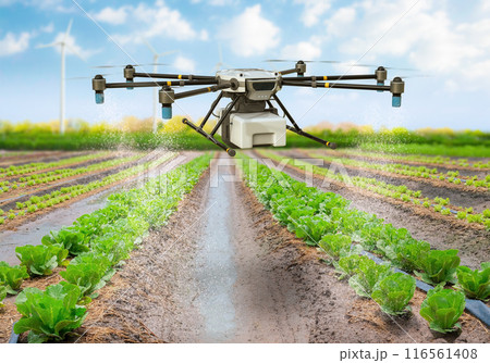 Agriculture technology concept with drone fly above and spray fertilizer 116561408
