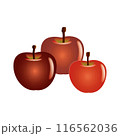 赤いリンゴのイラスト 116562036