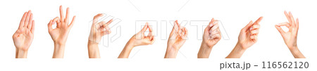 Set of woman hands showing different gestures, pointing and showing signs 116562120