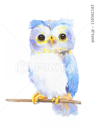 止まり木、可愛い手描き風の梟、油絵・アナログタッチ、ワシミミズク、フクロウのイラスト 止まり木、可愛い手描き風の梟、油絵・アナログタッチ、ワシミミズク、フクロウのイラスト 116562183