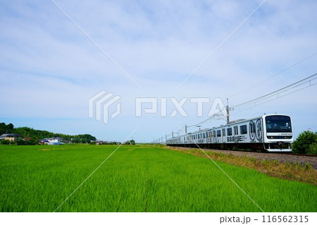 サイクリングと観光を楽しむB.B.BASE佐原・鹿島 116562315