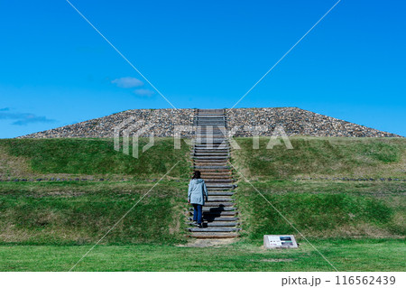 亀塚古墳公園　大分市の古墳 116562439