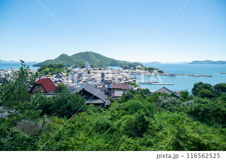 鞆の浦　医王寺からの絶景 116562525