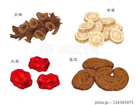 漢方薬　生薬　4種類(升麻　黄耆　大棗  霊芝） 116563075