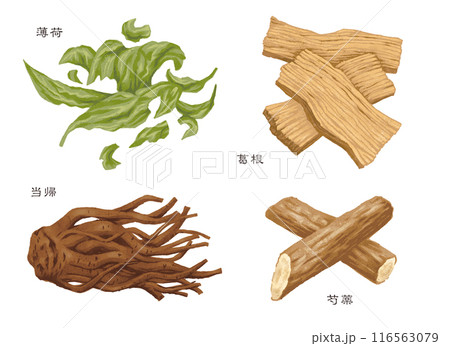 漢方薬 生薬 4種類(薄荷 葛根 当帰 芍薬) 漢方薬 生薬 4種類(薄荷 葛根 当帰 芍薬) 116563079