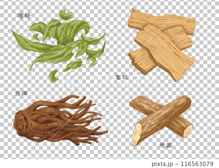 漢方薬 生薬 4種類(薄荷 葛根 当帰 芍薬) 漢方薬 生薬 4種類(薄荷 葛根 当帰 芍薬) 116563079