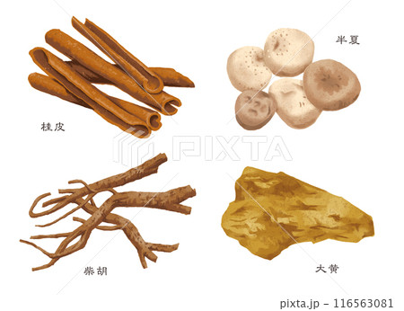 漢方薬 生薬 4種類(桂皮 半夏 柴胡 大黄) 漢方薬 生薬 4種類(桂皮 半夏 柴胡 大黄) 116563081