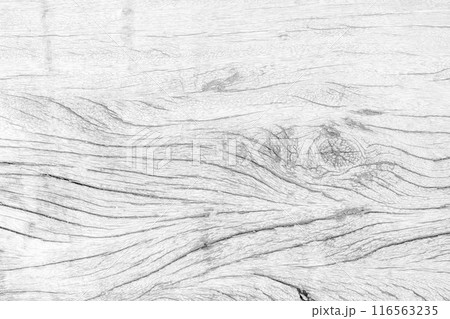 White wood surface natural texture background White wood surface natural texture background 116563235