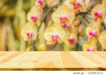 Empty wood table top with blur orchid garden background for product display 116563271