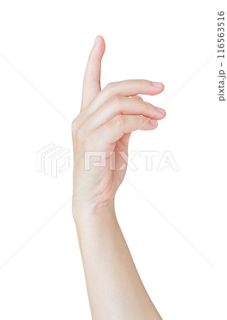 female hand touching or pointing to something isolated on white background female hand touching or pointing to something isolated on white background 116563516