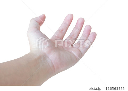 Man open hand gesture holding something isolated on white background Man open hand gesture holding something isolated on white background 116563533