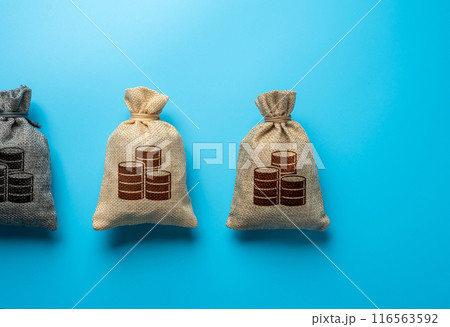 Bags of money on a blue background. Deposits and loans. Banks and banking. Earn Money. Borrow funds. Economics and budgets. 116563592