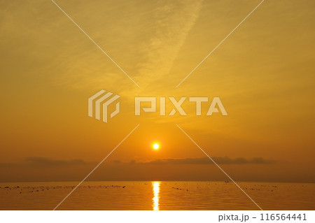有明海の朝日と上空に広がる薄雲 116564441