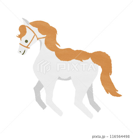 馬（白とオレンジ）テクスチャ有 116564498