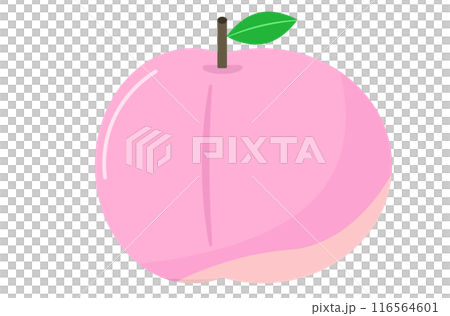 Peach. Peach. Vector illustration Peach. Peach. Vector illustration 116564601