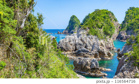 浦富海岸 116564716