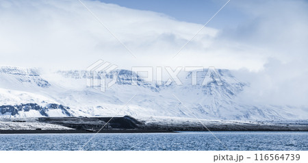 Coastal Northern landscape with snowy mountains 116564739