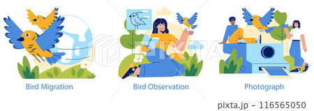 Birdwatching set. Enthusiasts engage in bird migration tracking, observing species, and photography in nature. Outdoor wildlife appreciation activity. Vector illustration. 116565050