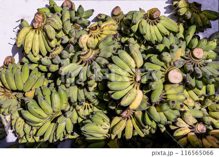 Pisang Awak or Ducasse banana for the worship in Thai Temple. Pisang Awak or Ducasse banana for the worship in Thai Temple. 116565066