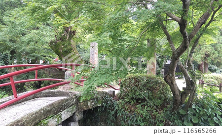 武蔵寺 武蔵寺 116565266
