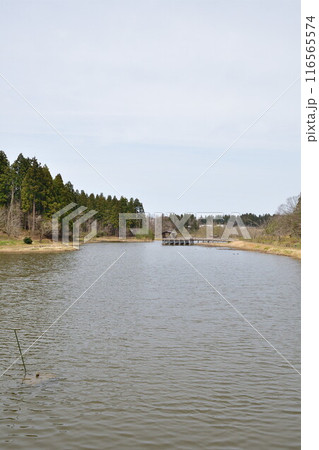 柏崎夢の森公園(新潟県) 柏崎夢の森公園(新潟県) 116565574