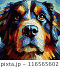犬 116565602