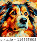 犬 116565608