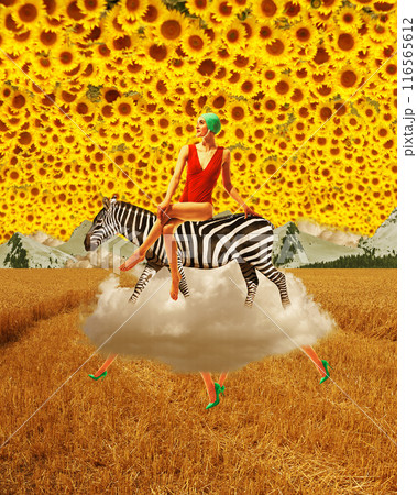 Woman in red swimsuit sitting atop zebra on floating cloud against golden field, with vibrant sky filled with sunflowers. Contemporary art collage. Woman in red swimsuit sitting atop zebra on floating cloud against golden field, with vibrant sky filled with sunflowers. Contemporary art collage. 116565612