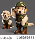 戦闘犬 116565683