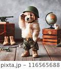 戦闘犬 116565688